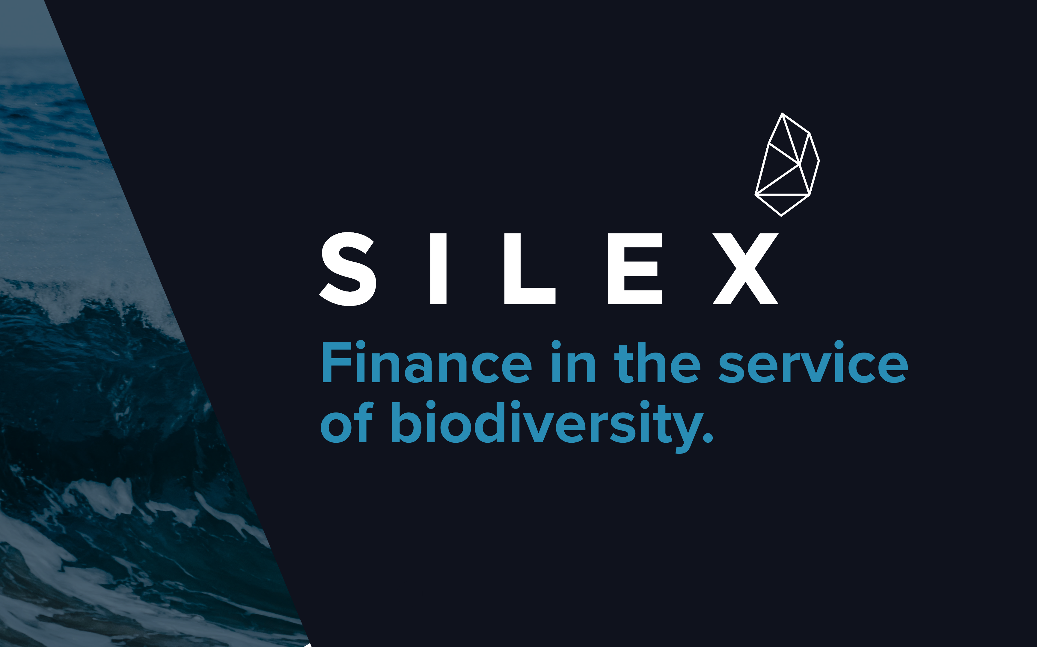 Finance in the service of biodiversity 